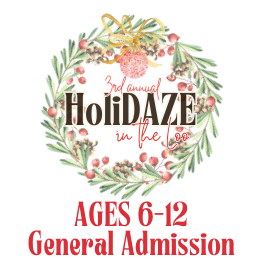 3rd Annual HoliDAZE - Age 6-12