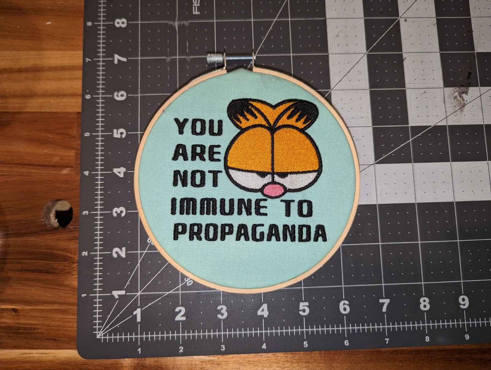 You Are Not Immune to Propaganda Wall Hanger