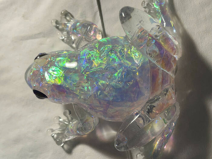 Beautiful Opal frog