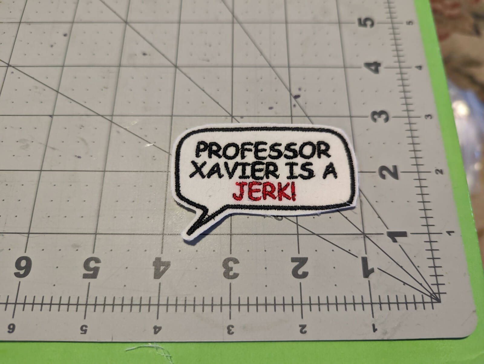 Prof X Is a Jerk Iron On Patch