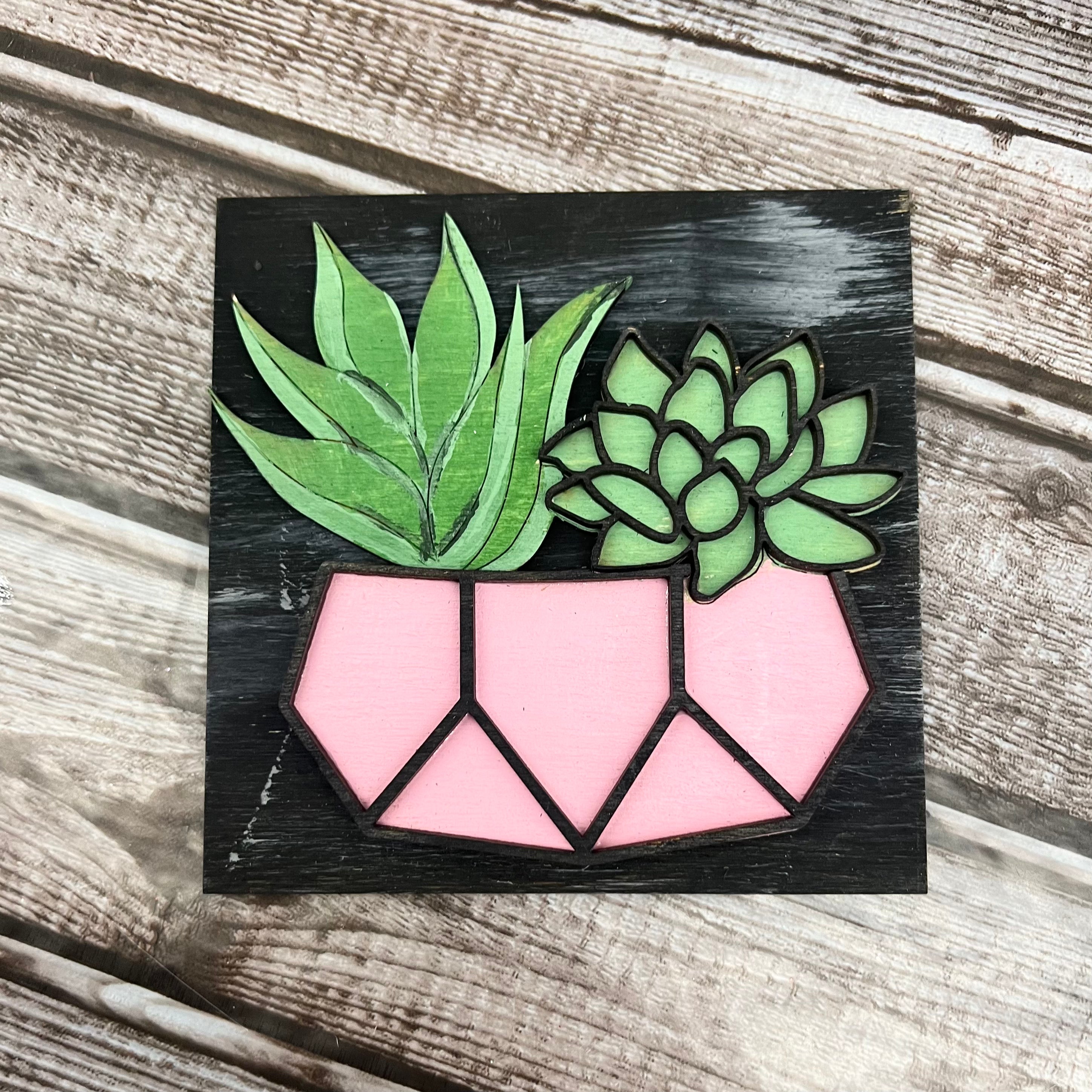 Succulent w/ Pink Pot Square Insert